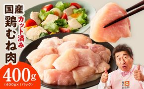 mrz0397 【お試し規格】国産 鶏むね肉 400g【スピード発送 カット済み 氷温熟成×極味付け 小分け 味付き 簡単調理 訳あり サイズ不揃い 鶏肉 とり】