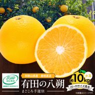 【2027年先行予約】和歌山県産 有田の 八朔 (はっさく) 約10kg 小玉 【2S～Mサイズ混合】まごころ手選別 _ZE6154n
