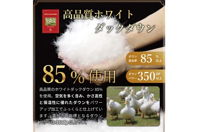 【冬用】羽毛布団 本掛け セミダブル ホワイトダックダウン 85％ 1.4kg（無地 ブラウン）[川村羽毛 山梨県 韮崎市 20742904] 布団 日本製 エクセルゴールドラベル 抗菌 防臭 羽毛 ふとん フトン 寝具 日用品 本掛け