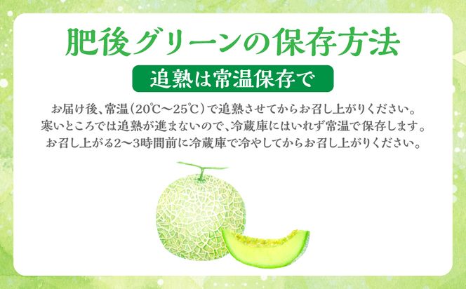 肥後グリーン 2玉 4L以上（合計4kg以上）メロン 果物 果実 くだもの フルーツ 熊本県 八代市