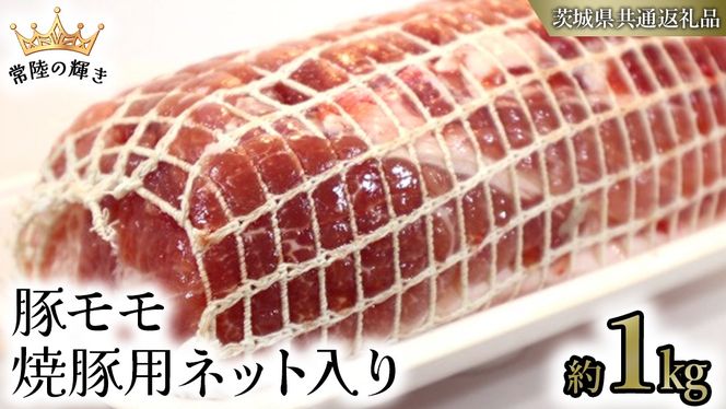 y錧΂݂炢szy 헤̋P z   ēؗp lbg i1kgj (錧ʕԗi) Y Y ؓ |[N  `[V[  Xe[L geL Ƃ񂩂 ē o[xL[ BBQ 蕨 [ET12-NT]