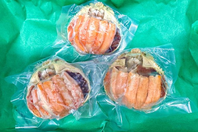 セイコガニ甲羅盛Lサイズ 3個セット 蟹 ふるさと納税 カニ ふるさと納税 かに ふるさと納税 海鮮 ふるさと納税 松葉ガニ ふるさと納税 セコガニ　SK00226