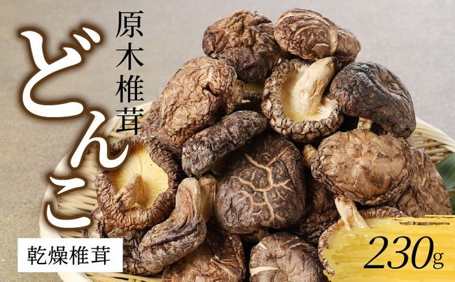 y{茧szőǂ230g N0128-YA3365