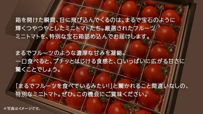 フルーツ ミニトマト の宝石箱 36粒 (茨城県共通返礼品：大子町) 野菜 フルーツ 旬 季節限定 期間限定