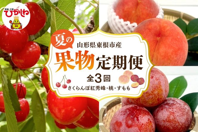 【2025年産 先行予約】山形県東根市産　果物定期便【さくらんぼ紅秀峰、桃、すもも】山形 東根 FMS提供 hi074-002-2