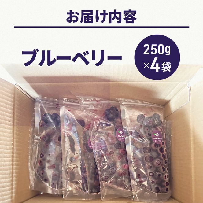 北海道 仁木町産 冷凍 ブルーベリー 250g×4袋 [ 北海道産 国産 ベリー フルーツ 果樹 くだもの 果物 冷凍果実 ]