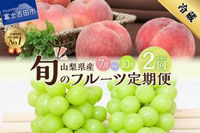 【2025年先行予約】【2回お届け！】旬のフルーツ定期便（もも・シャインマスカット）  果物 桃 シャインマスカット 山梨県産 フルーツ 定期便 旬 2025年発送 先行予約 高級 山梨 富士吉田市