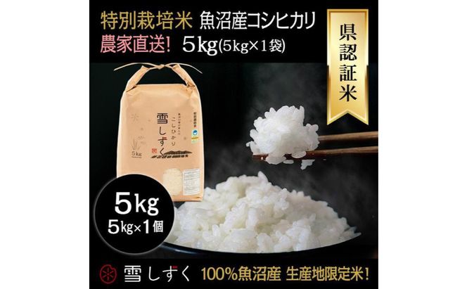 令和8年産！県認証特別栽培魚沼産コシヒカリ【農家直送！】 5kg×1袋 お米 米 コメ
