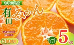 【先行予約】【ご家庭用】和歌山有田みかん約5kg(2L、3Lサイズ)【美浜町】