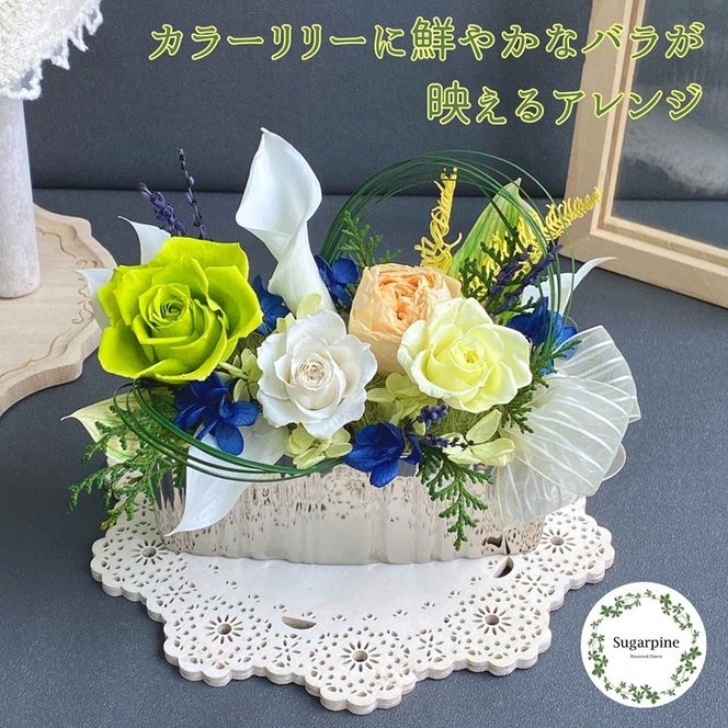 プリザーブドフラワー　クオーレ　春日部市　シュガーパイン(AJ245)