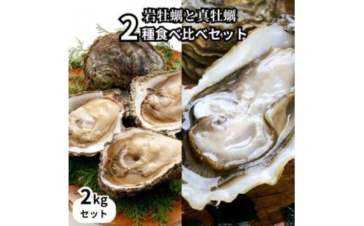 篠島2種の天然殻付きカキ2kg(岩牡蠣&真牡蠣)食べ比べセット 生食用/CAS冷凍　海鮮BBQに!