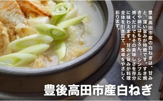 y啪L㍂cszys\zYnEVNIÂĔlM (3kgO) {gbvNX̎YnE啪L㍂csY LȊň~lLxȔ˂ lM ˂ lM   149977bt1