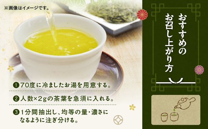 ＜選べる＞かごしま霧島茶 100g×1袋～12袋　K346-002_SKU