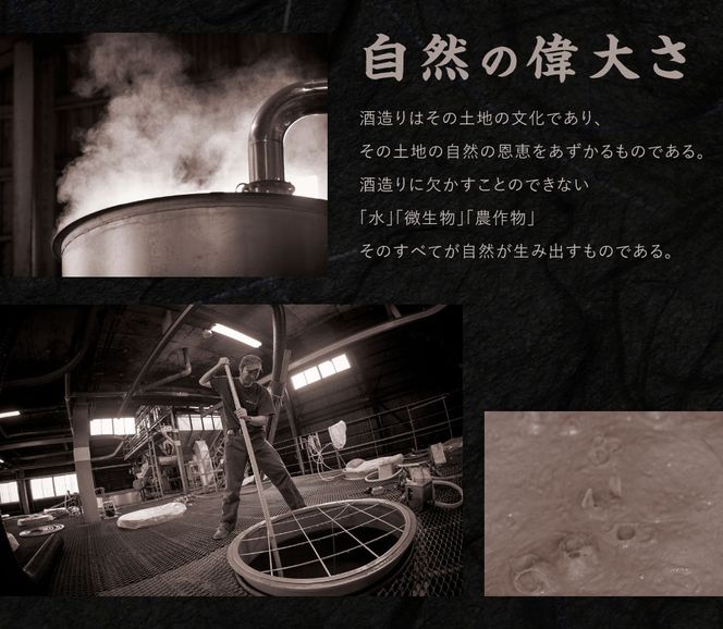 焼酎「いその波平 サザエさん公認 本格いも焼酎」1800ml 1本 サザエさん お酒 瓶 アルコール度数 25度 宮崎県産 九州産 えびの市 明石酒造 アニメ 公認 本格焼酎 送料無料