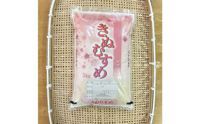 【ふるさと納税】お米　令和7年産　出雲きぬむすめ5kg 322032_EH008