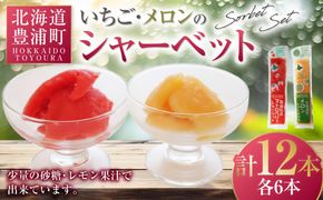 北海道 豊浦町 いちご・メロンのシャーベット 6本×2種 