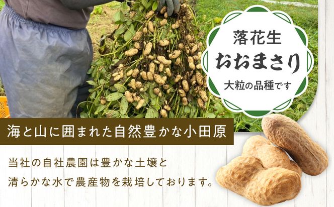 ゆで落花生おおまさり150ｇ×10ｐセット 142069_DV015