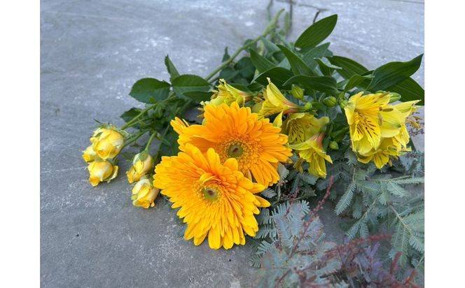 素材を楽しむ季節のお花＊ハーフ＊(全12回)| 花 記念 誕生日 サプライズ ギフト プレゼント 神奈川県 小田原市  142069_BN055