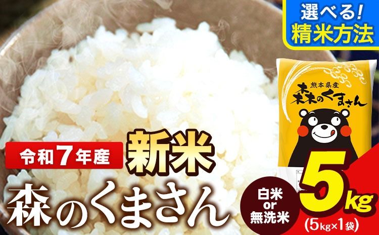 令和7年産 新米 無洗米 も 選べる 森のくまさん 5kg × 1袋 白米 熊本県産 単一原料米 森くま[12月中旬-2月末頃出荷][精米方法をお選びください]送料無料---ng_mk7_bc122_13000_5kg_h--