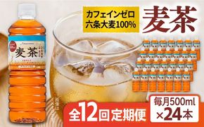 【全12回定期便】麦茶 600ml × 24本 糸島市 / スターナイン お茶 ペットボトル [ARM020] お茶 ペットボトル 500ml 24本 送料無料 麦茶 国産 常温