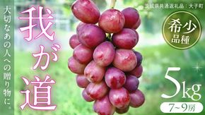我が道 5kg (7～9房) 【2026年9月上旬発送開始】(茨城県共通返礼品：大子町) シャインマスカット ウインク 葡萄 ブドウ ぶどう 果物 フルーツ 希少 新品種