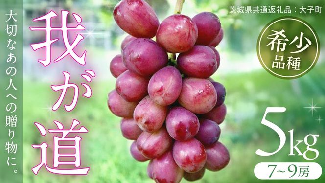 y錧vsz䂪 5kg (7`9[) y2026N9{Jnz(錧ʕԗiFq) VC}XJbg ECN  uhE Ԃǂ ʕ t[c  Vi