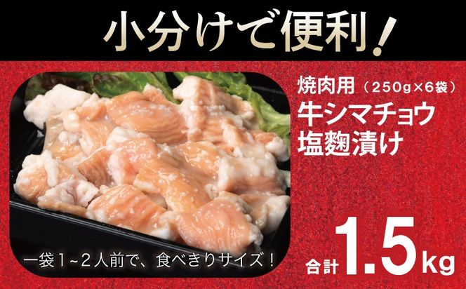 099H3380 牛シマチョウ 焼肉用 塩麹漬け 合計1.5kg【味付け 小分け 焼くだけ 簡単調理 BBQ 牛肉 ホルモン 250g×6袋 普段使い】