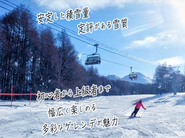 ロックウッド・ホテル＆スパ：期間限定☆ゲレンデ目の前！スキー＆スノボ【選べるリフト・ゴンドラ1日券】＆2食付プラン♪（平日限定：スタンダードツイン 三名様ご招待） 宿泊券 旅行 温泉 スキーチケット 