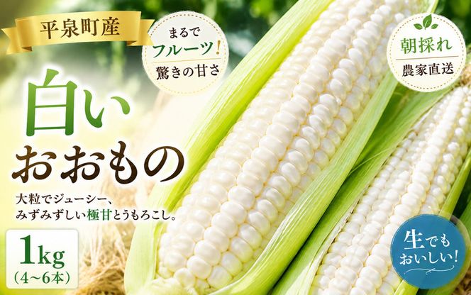 【7月下旬～8月上旬発送】 平泉町産 白い おおもの とうもろこし 1kg (4～6本) / トウモロコシ 野菜 やさい 甘い 濃厚 美味しい 【配送不可地域：九州／沖縄県／離島】【ipo001】