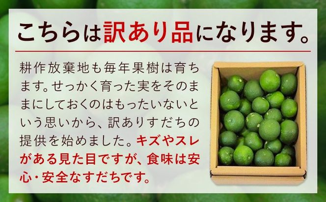 ＜2026年予約受付＞ 生産量日本一!! ちょっとキズでも香りは満点 徳島県産 訳ありすだち 500g《9月上旬-9月末頃に出荷予定(土日祝除く)》徳島県 佐那河内村 すだち サイズ不揃い B級すだち すだち キズあり すだち 不揃い---tsm_lcl11_ac9_25_4000_500g--