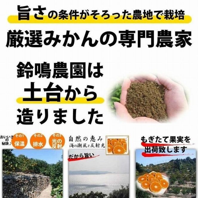 みかん 2.5kg  ご家庭用　和歌山県有田川町産　有田みかん ありだみかん CE034