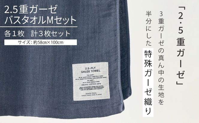 TST0005 【高島屋選定品】SHINTO TOWEL 2.5重ガーゼ バスタオル Mセット 計3枚