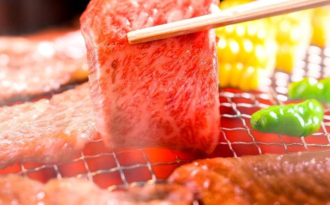 ＼選べる内容量／【先行予約】【和牛セレブ】常陸牛 焼肉 サーロイン 200g×2パック～8パック(計400g～1.6kg)(茨城県共通返礼品) ひたち牛 ブランド牛肉 国産牛 国産黒毛和牛 お肉 ＜2027年2月からお申込順に発送＞ ひたちぎゅう ブランド牛 焼肉 サーロイン 黒毛和牛 和牛 ギフト