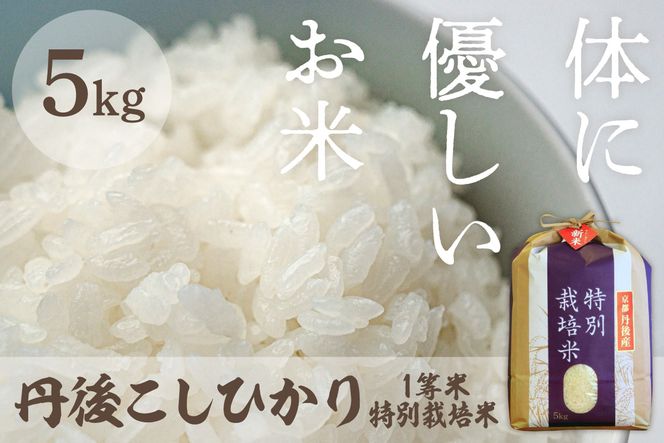 令和8年産 丹後こしひかり 特別栽培米 5kg　MU00092