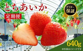 【先行予約】【定期便】いちご市 鹿沼の美味しい「い」「ち」「ご」 とちあいか 15粒入り320g 2パック 2ヶ月連続発送 全2回 お届け ｜ イチゴ 苺 フルーツ 果物 甘い 贈答用 かぬま ※沖縄・離島への配送不可 ※2026年1月上旬～2月下旬頃に順次発送予定