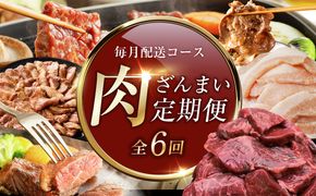 099Z609 アキラ商店 肉三昧 プレミアム 定期便 全6回【毎月配送コース お楽しみ 焼肉 ていきびん 焼くだけ 小分け BBQ やきにく 数量限定】