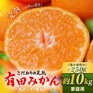 ＼光センサー選別／こだわりの完熟有田みかん 10kg＋150g(傷み補償分) 【ご家庭用】サイズ混合 有機質肥料100%｜ ふるさと納税 みかん
