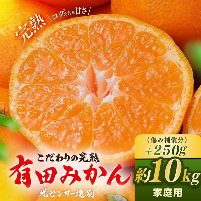 ＼光センサー選別／こだわりの完熟有田みかん 10kg＋150g(傷み補償分) 【ご家庭用】サイズ混合 有機質肥料100%｜ ふるさと納税 みかん