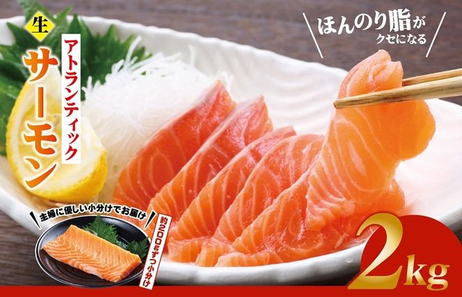 y{򍲖szG3553 HIAgeBbNT[ v2kgy ؂ hg  CNz