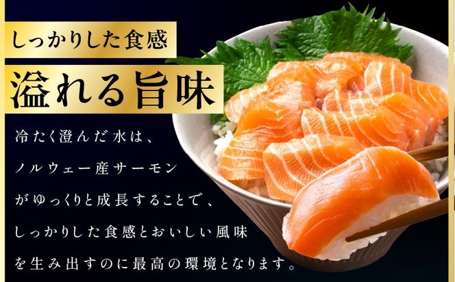 kgpZ005 【定期便】ノルウェー産 プレミアム アトランティックサーモン 1kg 【2～5柵 訳あり サイズ不揃い 刺身 海鮮丼 サラダ 冷凍 2026年2月＆5月発送 全2回】