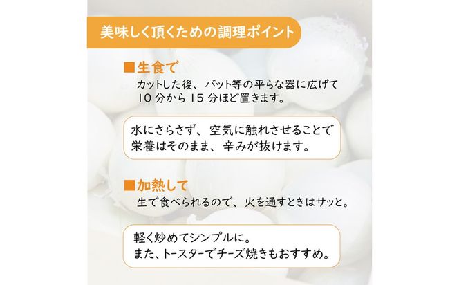 【予約：2026年7月中旬から順次発送】ところの白玉ねぎ 3kg ( 玉ねぎ タマネギ 玉葱 野菜 白玉ねぎ 3キロ 期間限定 辛みが少ない 生食 )【121-0003-2026】