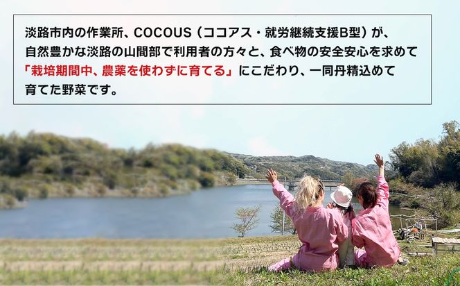 淡路島産 新玉ねぎ 10kg【栽培期間中、無農薬栽培】【訳あり】サイズ混合SS～2L