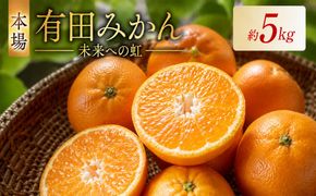 有田みかん「未来への虹」（5kg）(A973-2) 
