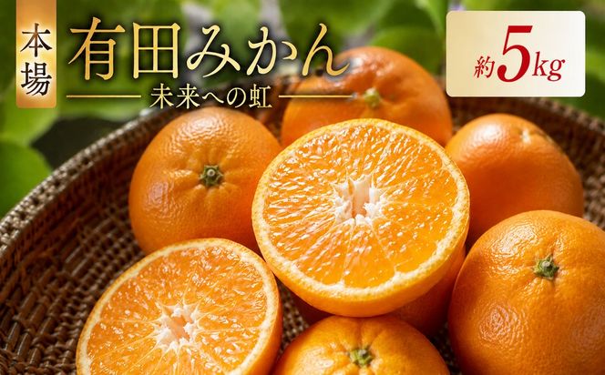 有田みかん「未来への虹」（5kg）(A973-2) 