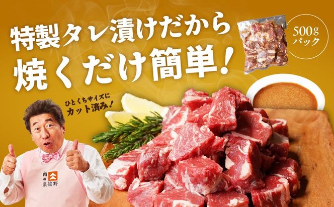 mrzZ054 【定期便】牛ヒレ肉 切り落とし 1.5kg×全2回【小分け 500g×3P 氷温熟成×特製ダレ 訳あり サイズ不揃い やわらか ステーキ ひと口サイズ カット済み 2026年3月＆6月発送】