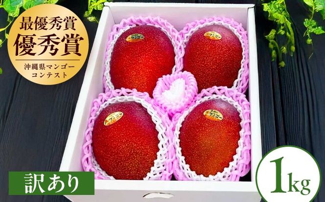 【2027年発送 先行予約】【訳あり】仲村農園の完熟アップルマンゴー 1kg マンゴー 沖縄 果物 フルーツ ギフト 沖縄市 / 仲村農園[BCCU004]
