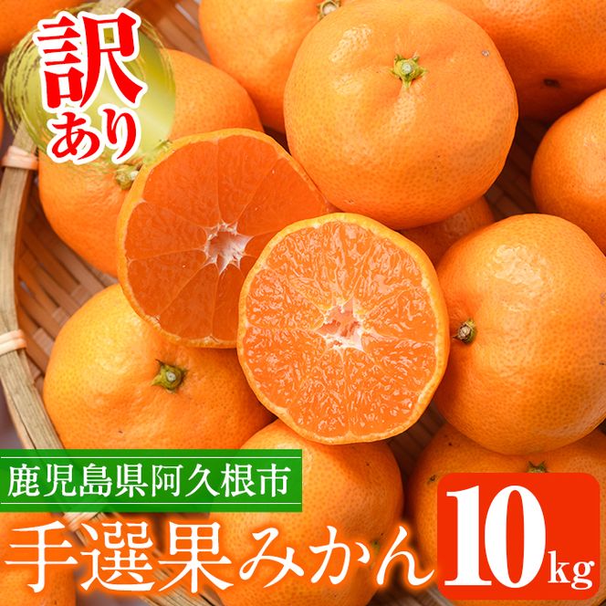 ＜先行予約受付中！2026年10月中旬以降順次発送予定＞ 訳あり！鹿児島県産手選果みかん(計10kg) 国産 柑橘 果物 フルーツ ご家庭用 サイズ 不揃い【三笠農業生産】akn051-11