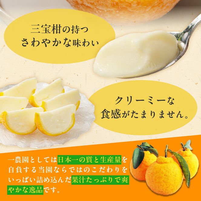 【ギフト用】まるごと 三宝柑 シャーベット 5個 セット_ZP6009_GFTn