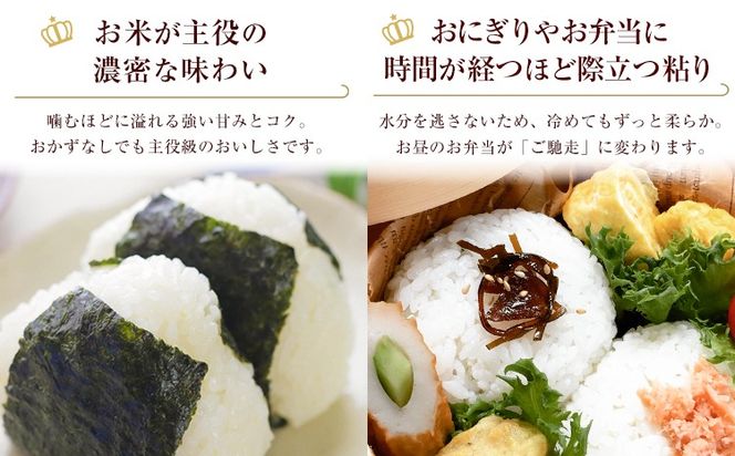 お米 ミルキークイーン 約5kg 山﨑農園 《30日以内に出荷予定(土日祝除く)》 和歌山県 日高川町 米 お米 ご飯 おにぎり---wshg_ysk2_30d_26_18000_5kg---