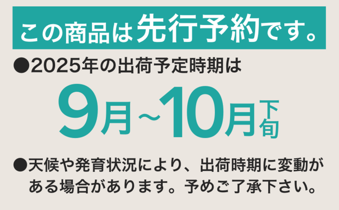 【2025年 先行予約】 山梨県産 シャインマスカット ２房 (1.2kg以上)GA001